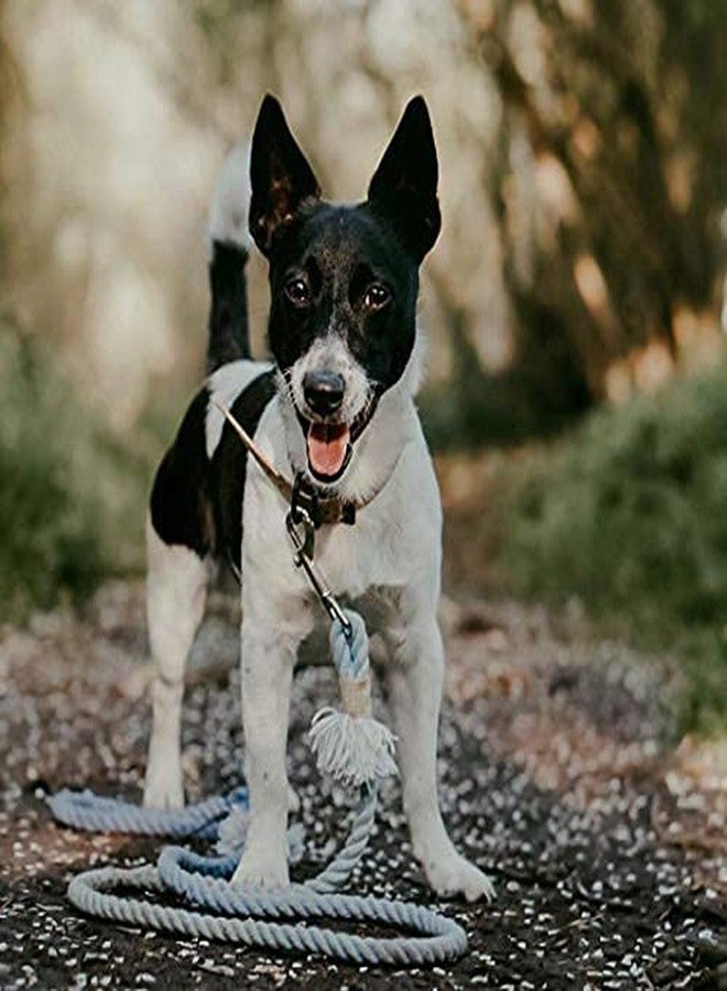 KittuPet Swivel Snap Hooks, Metal Heavy Duty Eye Clasp Multipurpose- Best for Spring Pet Buckle, Key Chain for Linking Dog Leash Collar, DIY Project (Pack of 2) - Image 4